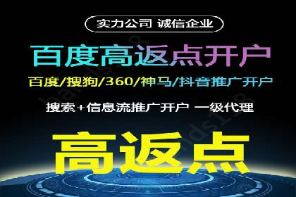 SEM代理服务：助力企业精准营销案例解析
